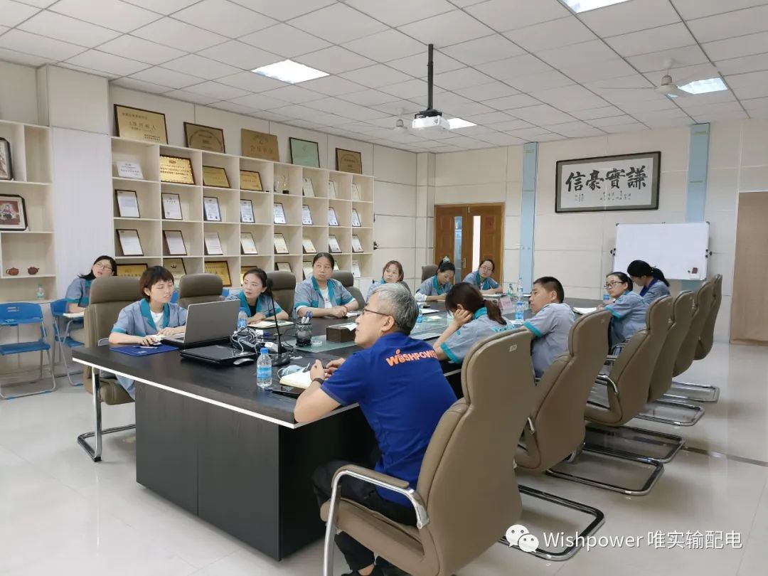 唯实输配电复合绝缘子